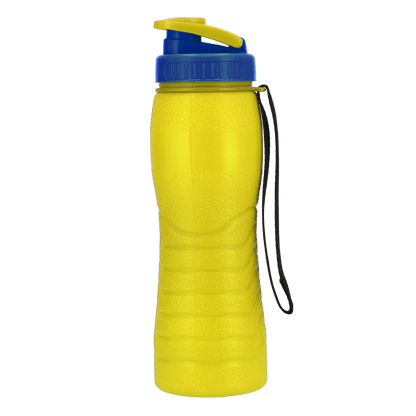 Spring Thermic Water Bottle - (500ml)